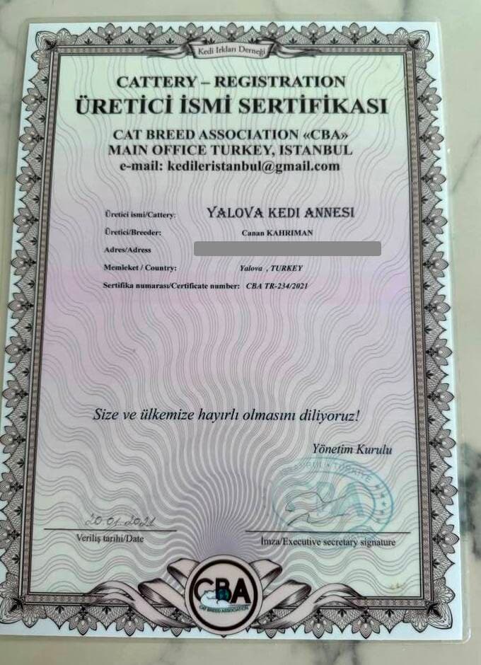 Cattery Registration Certificate issued by Cat Breed Association (CBA), Istanbul, Turkey