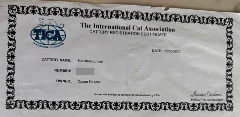Cattery Registration Certificate issued by The International Cat Association (TICA), USA