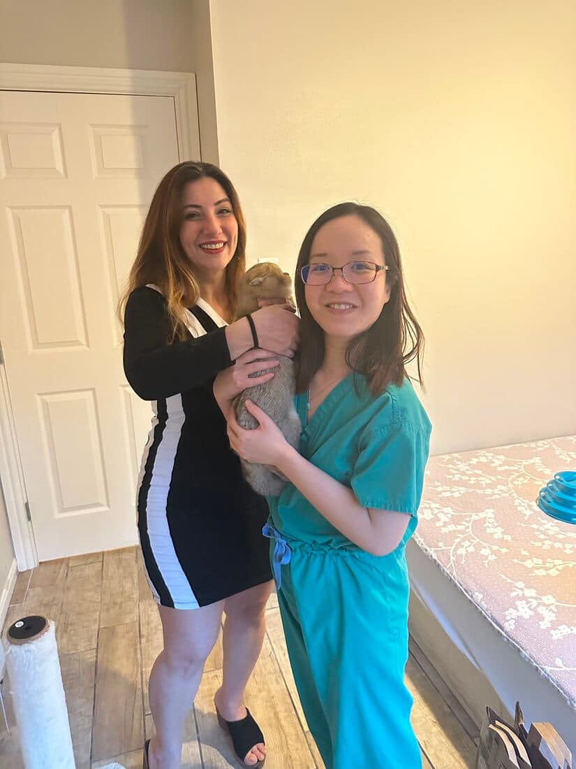 A family collecting their British Shorthair kitten from Houston Cat Mom Cattery in Houston, Texas