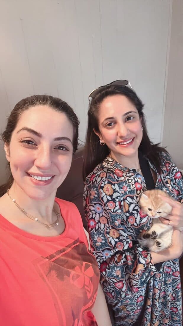 A family collecting their British Shorthair kitten from Houston Cat Mom Cattery in Houston, Texas