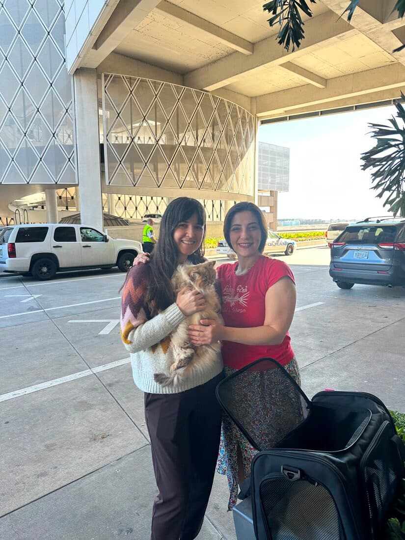 A family collecting their British Shorthair kitten from Houston Cat Mom Cattery in Houston, Texas