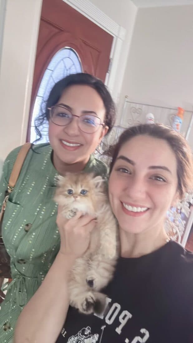 A family collecting their British Shorthair kitten from Houston Cat Mom Cattery in Houston, Texas