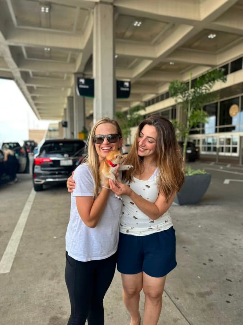 A family collecting their British Shorthair kitten from Houston Cat Mom Cattery in Houston, Texas
