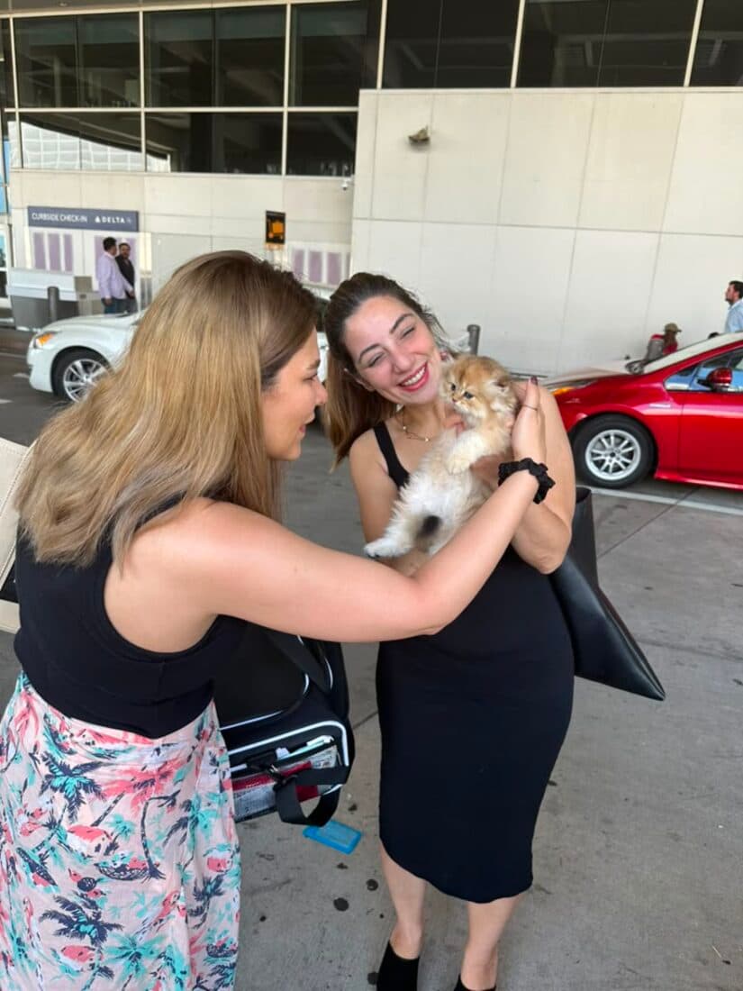 A family collecting their British Shorthair kitten from Houston Cat Mom Cattery in Houston, Texas