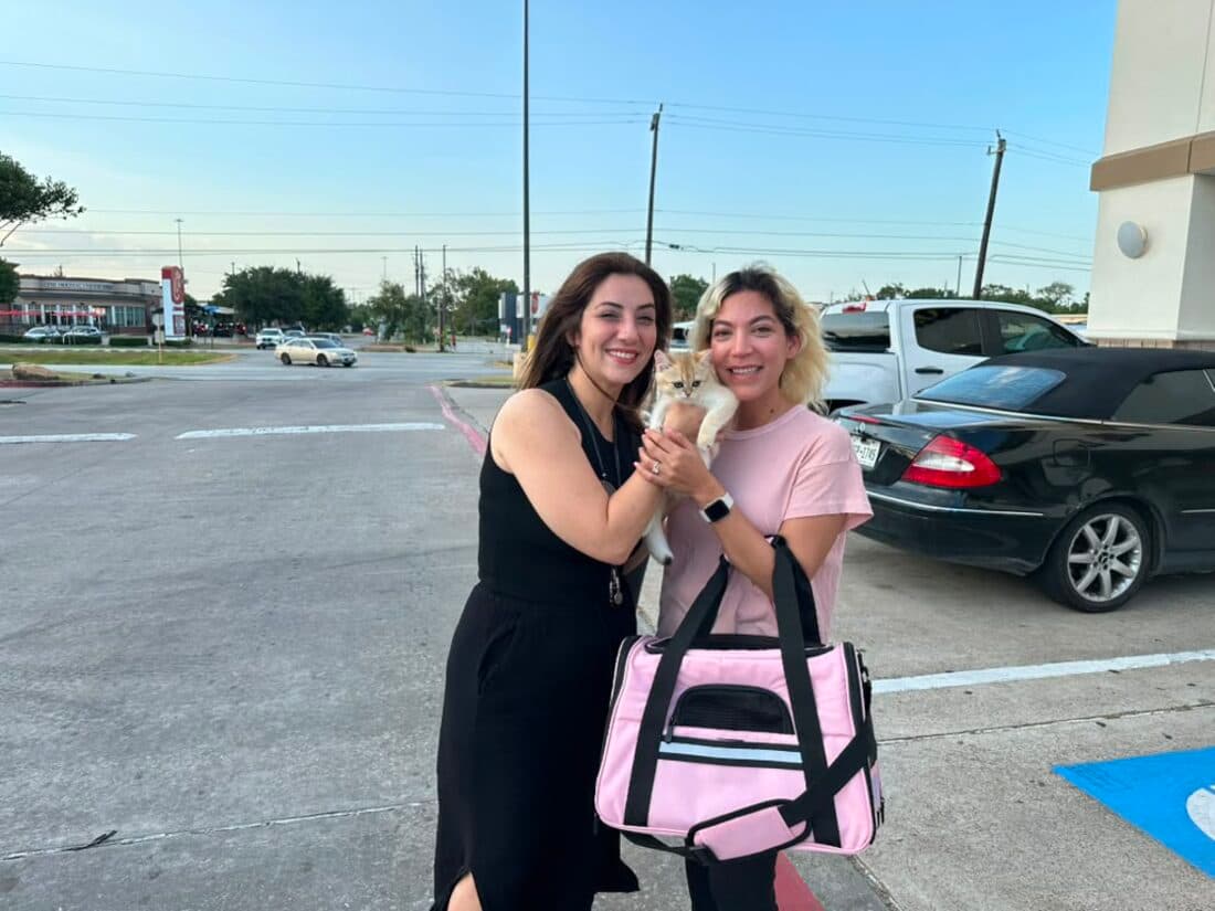 A family collecting their British Shorthair kitten from Houston Cat Mom Cattery in Houston, Texas