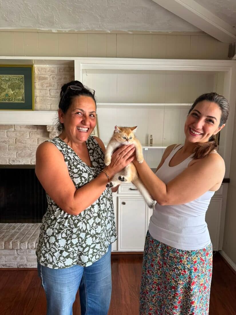 A family collecting their British Shorthair kitten from Houston Cat Mom Cattery in Houston, Texas